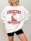 Crescent University Sweatshirt | Crescent City Merch - TheLibraryCloset