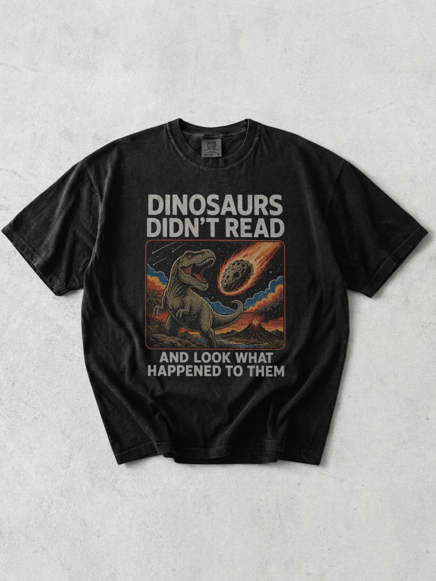 flay lay of a graphite tshirt with a retro graphic that says "dinosaurs didn't read and look what happened to them"